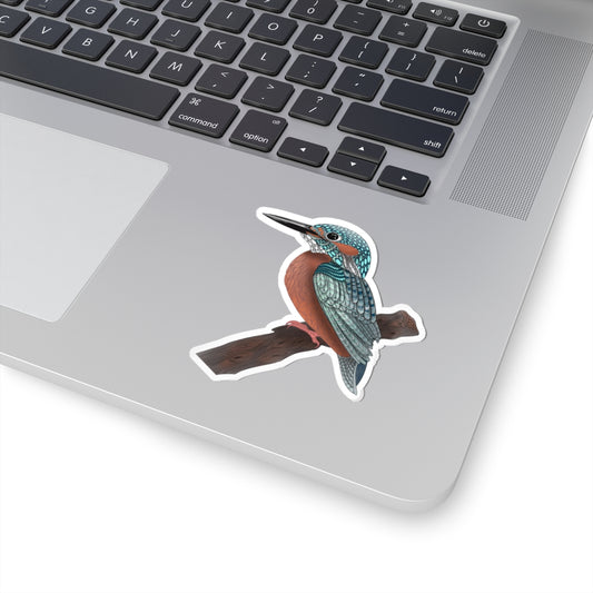 Colorful Kingfisher sticker