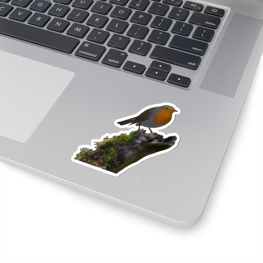 European Robin sticker