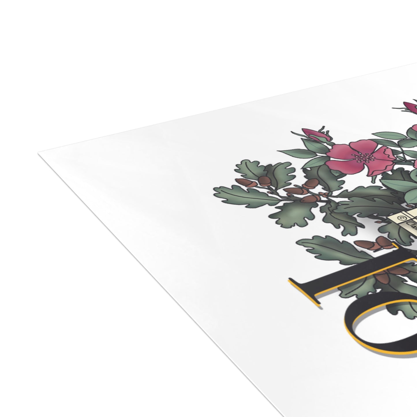 Iowa City Capitol 10 Postcard Bundle with Envelopes