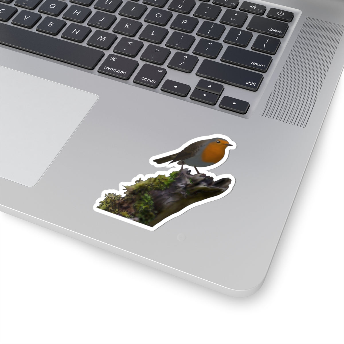 European Robin sticker